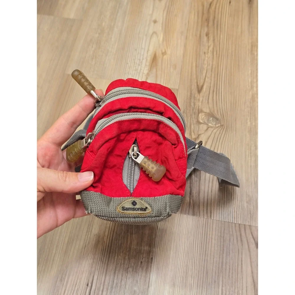 Samsonite mini crossbody
